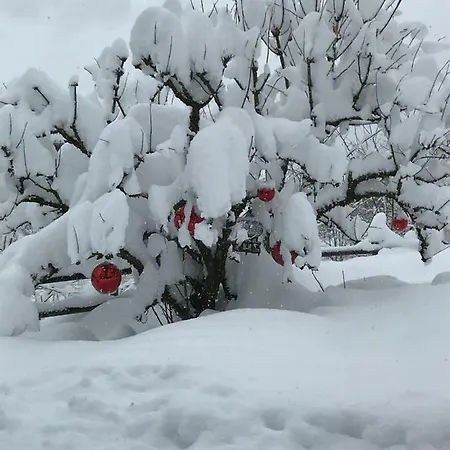 Am Mellenbach Patrizia Kleber Apartman