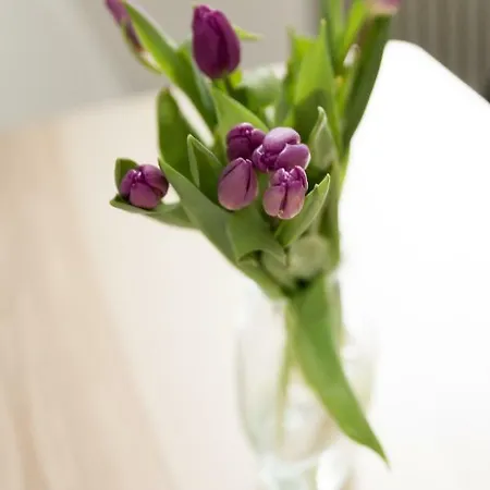 Apartment Am Mellenbach Patrizia Kleber *